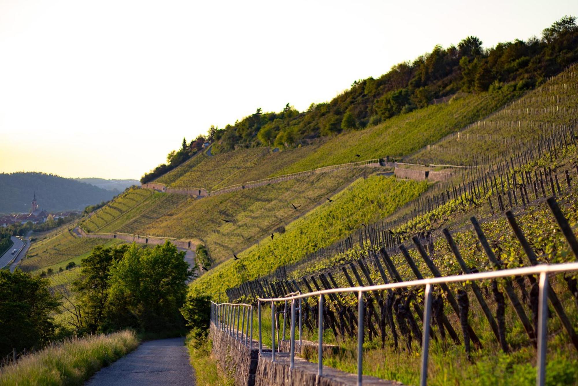 Weingut Leininger Ferienwohnungen Eibelstadt Luaran gambar